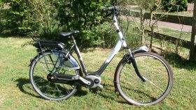 Gazelle Vento