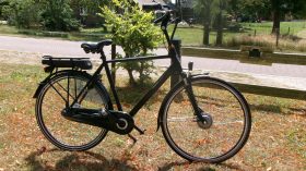 Batavus Wayz