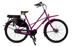 Azor EM-STALEN KRUISFRAME DAMES HEAVY DUTY