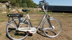Batavus Monnaco