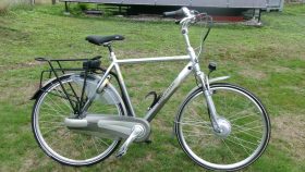 Gazelle Orane